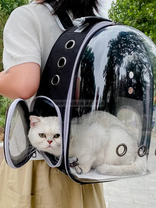 Black Cat Backpack